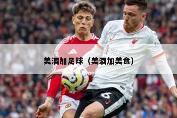 美酒加足球（美酒加美食）
