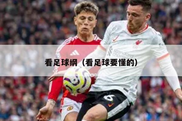 看足球纲（看足球要懂的）