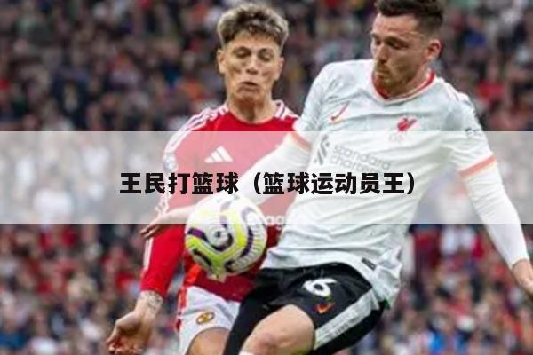 王民打篮球（篮球运动员王）