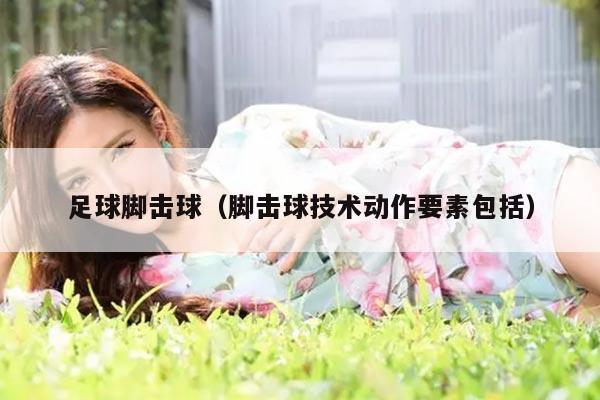 足球脚击球（脚击球技术动作要素包括）