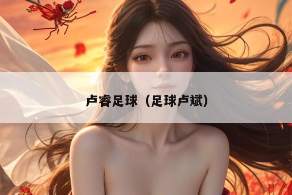 卢睿足球（足球卢斌）