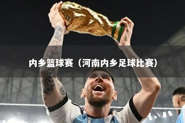 内乡篮球赛（河南内乡足球比赛）