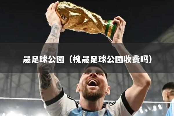 晟足球公园（槐晟足球公园收费吗）