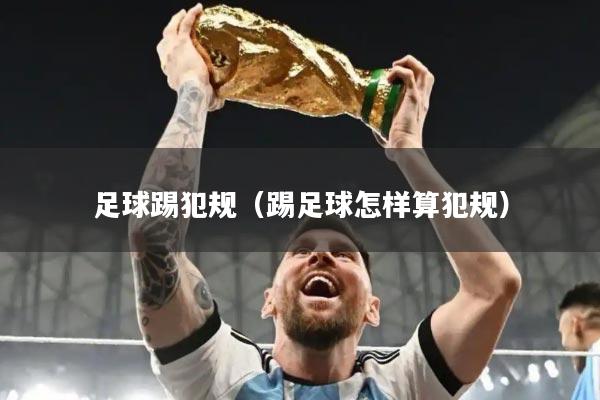 足球踢犯规（踢足球怎样算犯规）