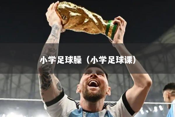小学足球臊（小学足球课）